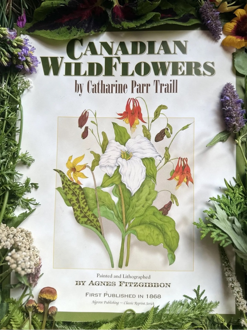Canadian Wildflowers Oversized Softcover Book